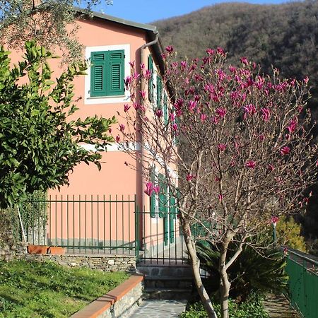 Casa Laura Villa Zoagli Exterior foto
