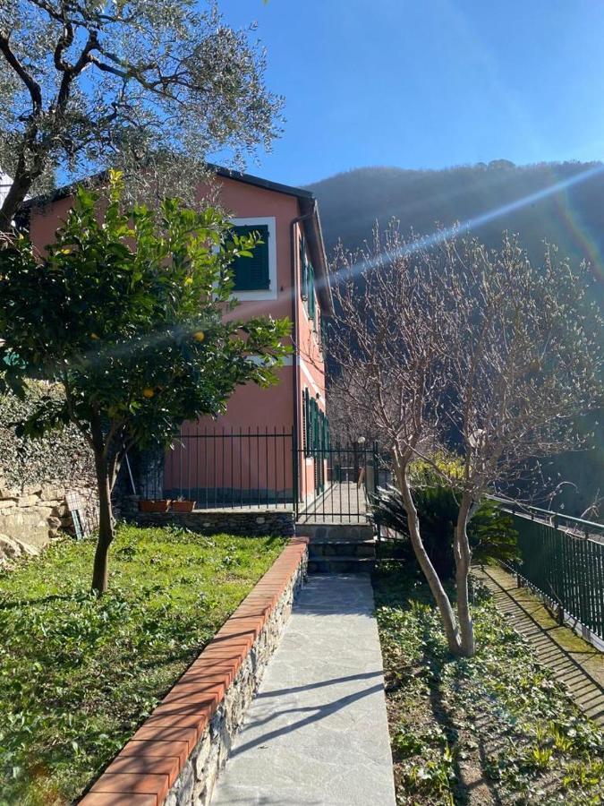 Casa Laura Villa Zoagli Exterior foto