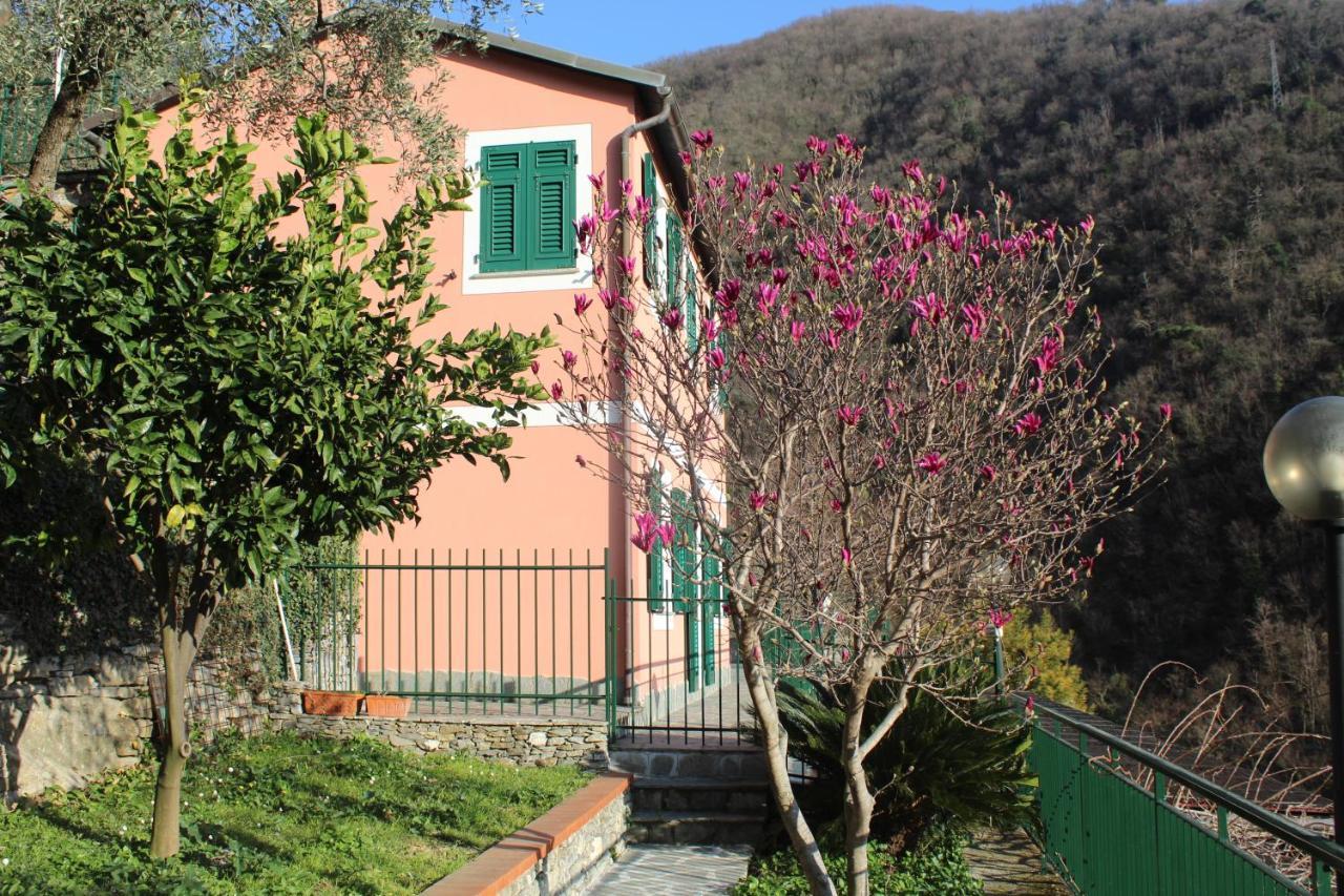 Casa Laura Villa Zoagli Exterior foto