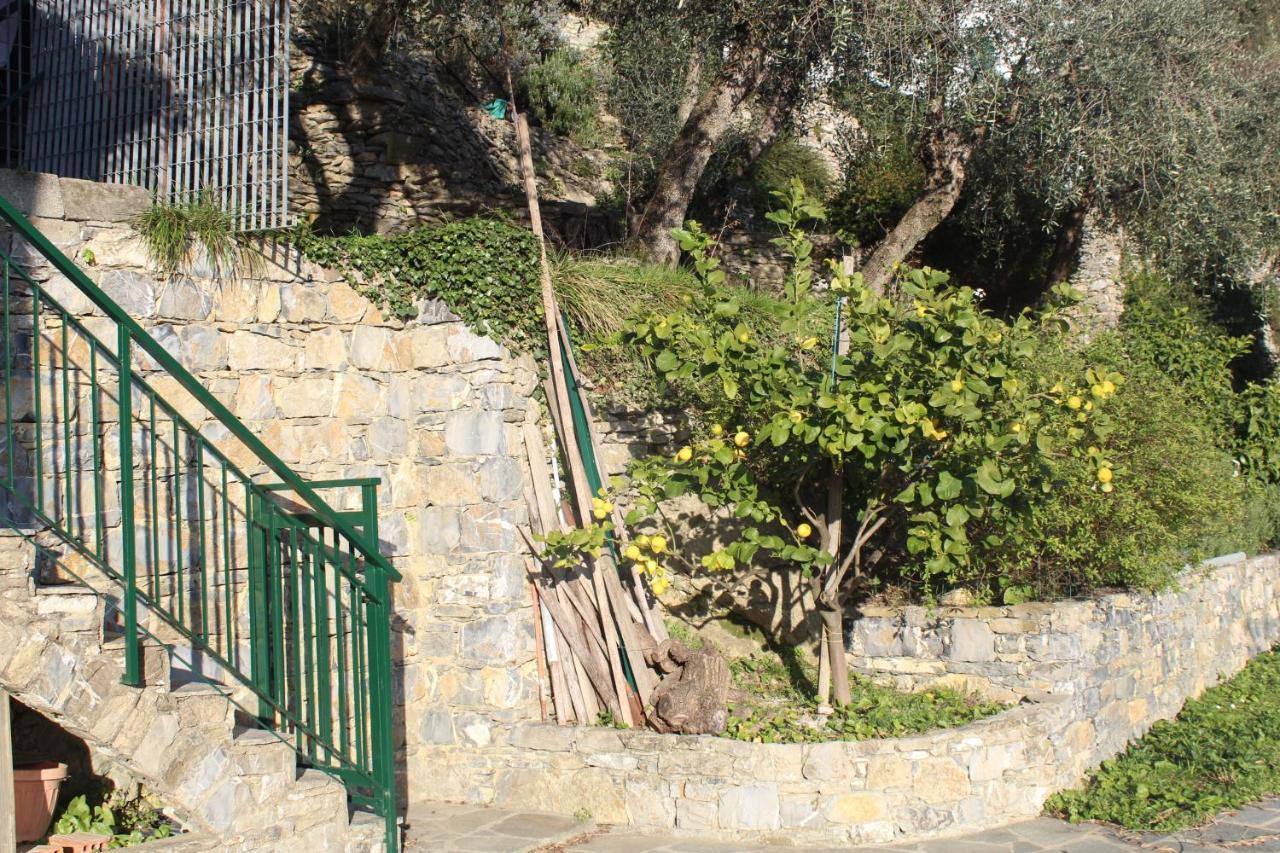 Casa Laura Villa Zoagli Exterior foto